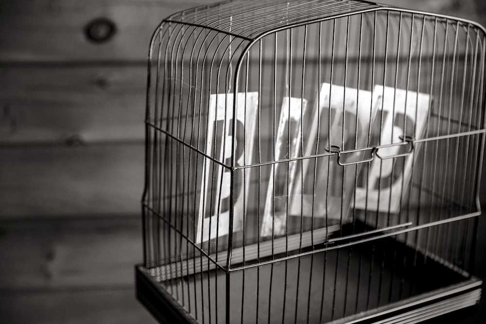 bird-cage